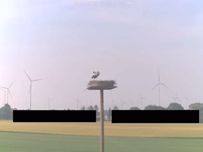 2025-06-15