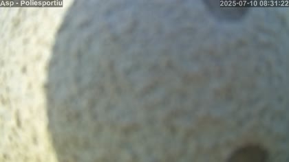 2025-07-10