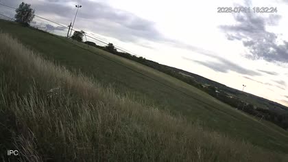 2026-07-11