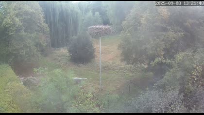 2025-09-08