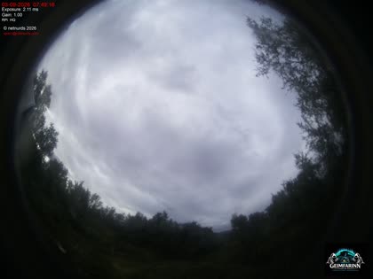 2026-09-03