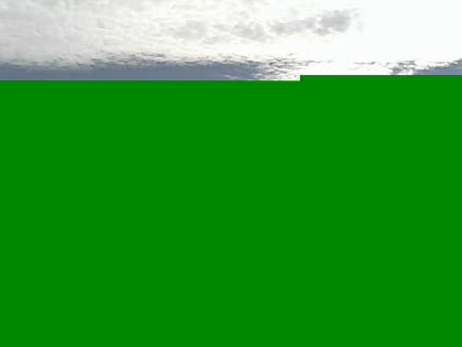 2025-10-08