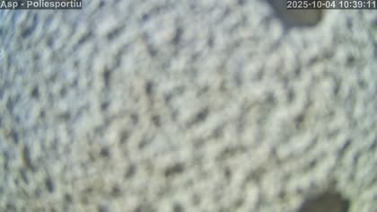 2025-10-04