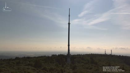 2025-06-11