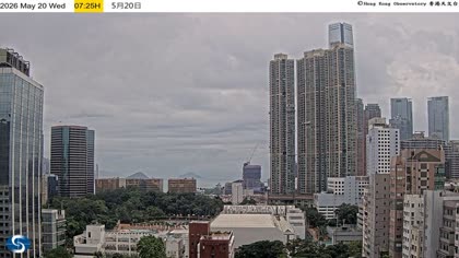 2026-05-20