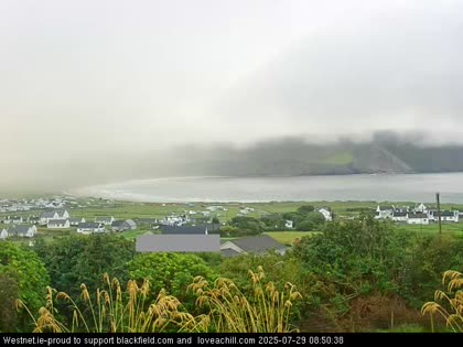 2025-07-29