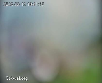2025-09-13