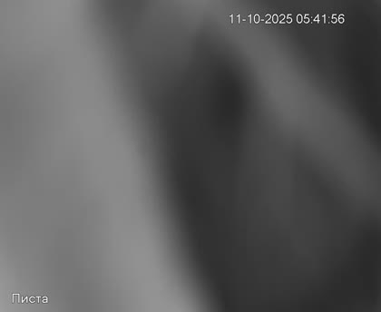 2025-10-11