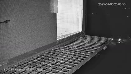 2025-09-06