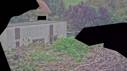 2025-10-04