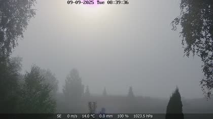 2025-09-09