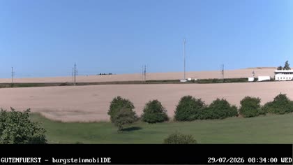 2026-07-29