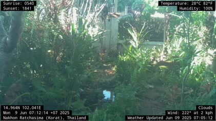 2025-06-09