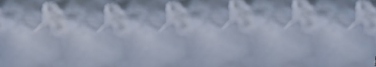 2025-05-29