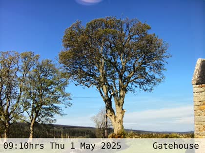 2025-05-01