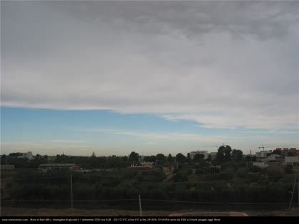2025-09-11