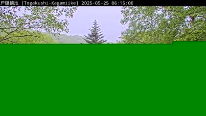 2025-05-24