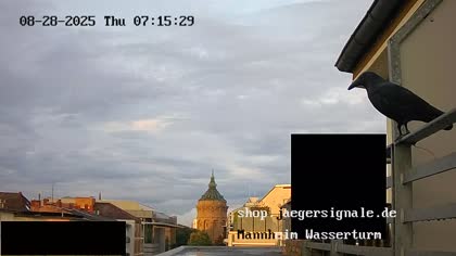 2025-08-28