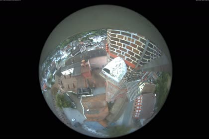 2025-08-05