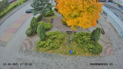 2025-10-12