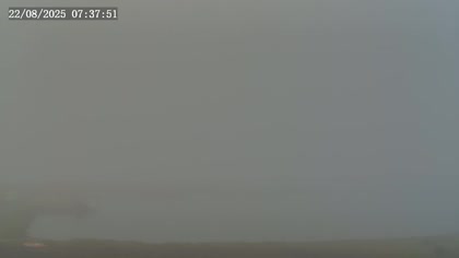 2025-08-22