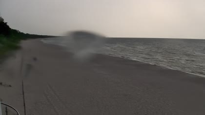 2026-05-29