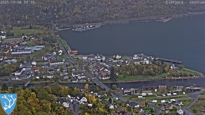 2025-10-08