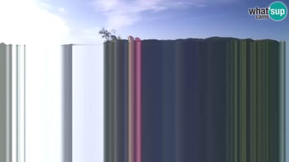 2026-07-25