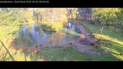 2025-09-05