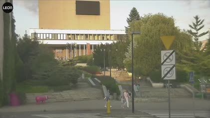 2025-06-11