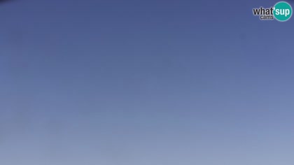 2026-05-20