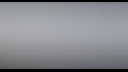 2025-08-19