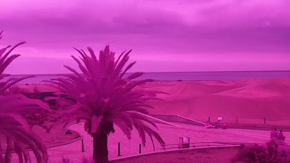 2025-08-03