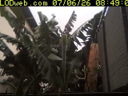 2026-07-06