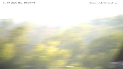2025-09-01