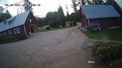2025-08-12