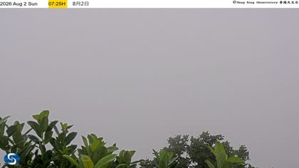 2026-08-02