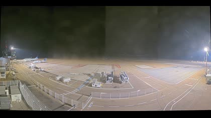 2025-08-20