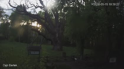 2026-05-15