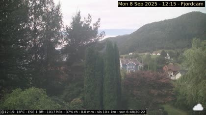 2025-09-08
