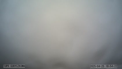 2025-04-25