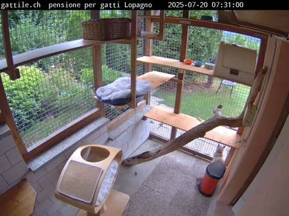 2025-07-20