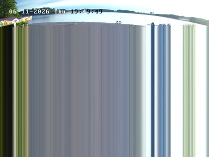 2026-06-11