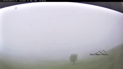 2025-05-22