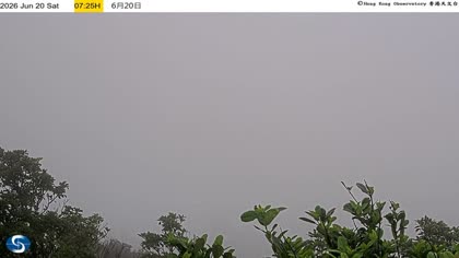 2026-06-20