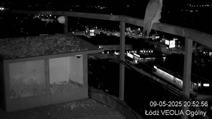 2025-05-09