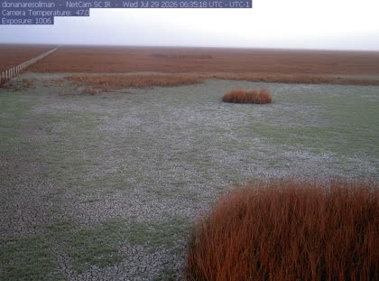 2026-07-29