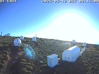2025-05-12