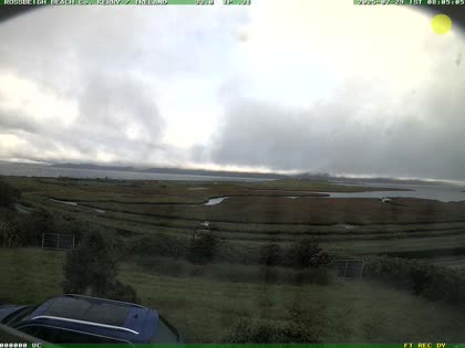 2025-07-29