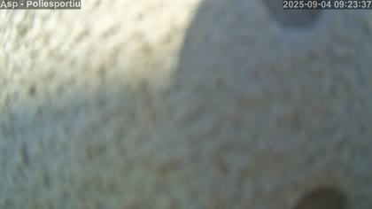2025-09-04